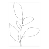 Five Leaf Plant (Print Only) thumbnail