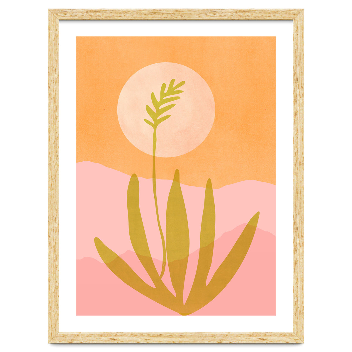 Desert Moon With Agave