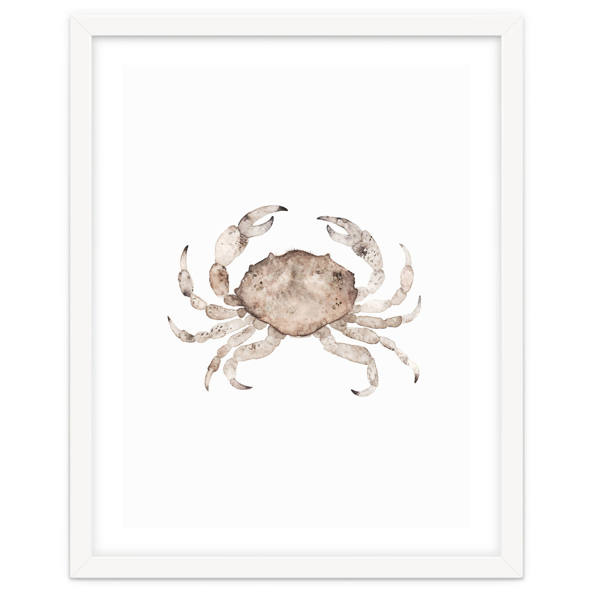 Crab