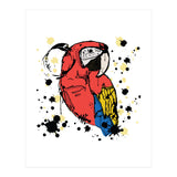 Guacamaya sketch (Print Only) thumbnail