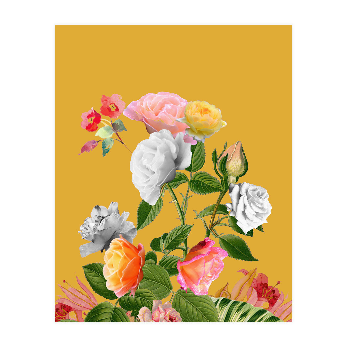 Floral Pop (Print Only)