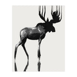 Moose  (Print Only) thumbnail