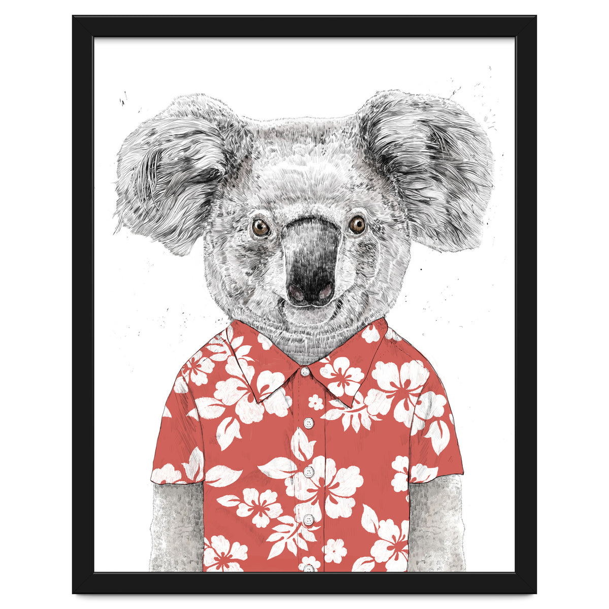 Summer Koala