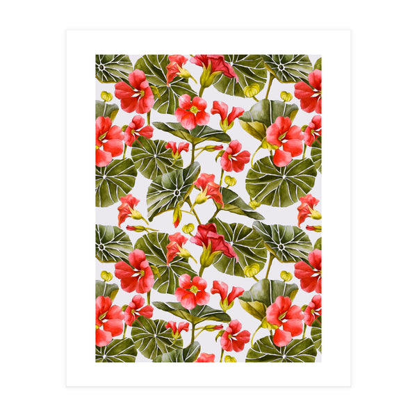 Nasturtiums watercolor 02 (Print Only)