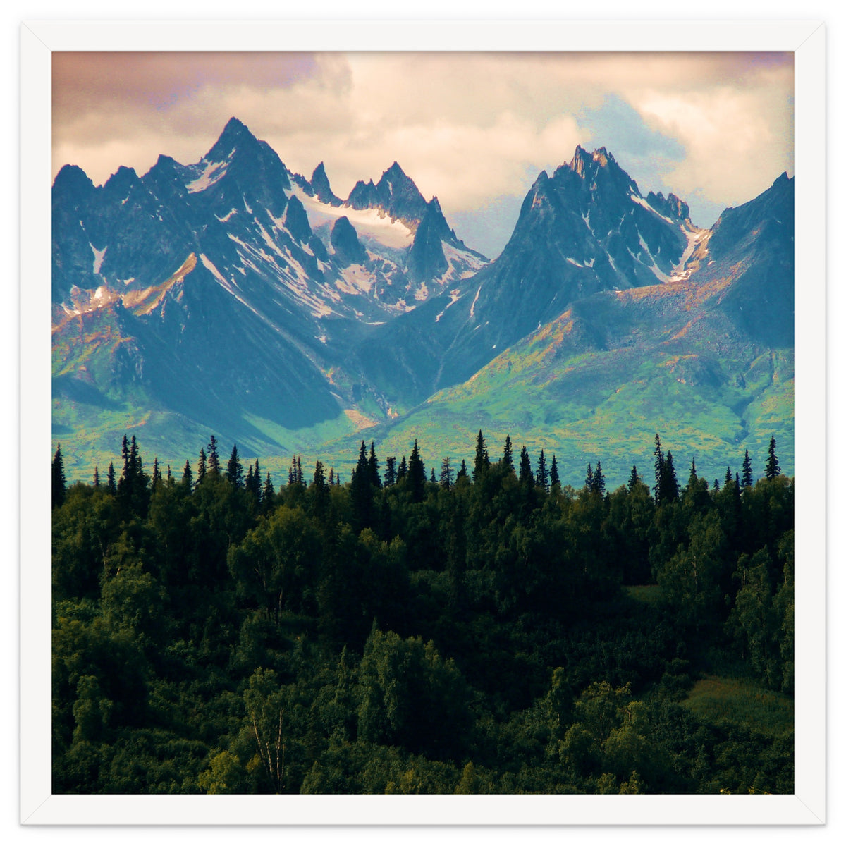 Escaping from woodland heights II