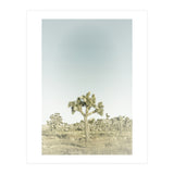 Vintage Joshua Tree  (Print Only) thumbnail