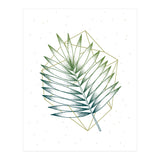 Geometry And Nature IV (Print Only) thumbnail