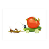 Cucumber Ride (Print Only) thumbnail