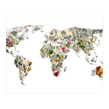 Vintage Botanical Map (Print Only) thumbnail