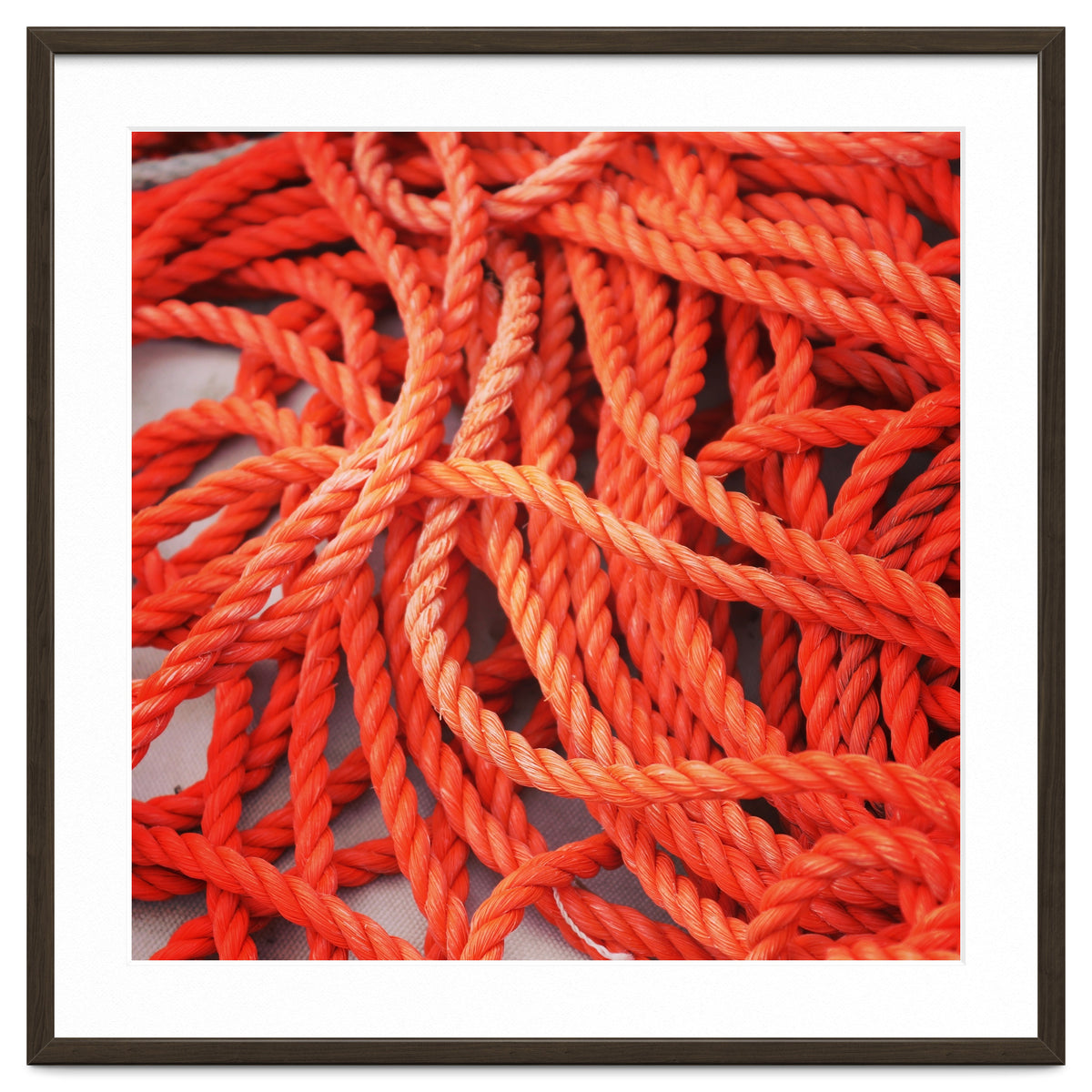 Orange ropes