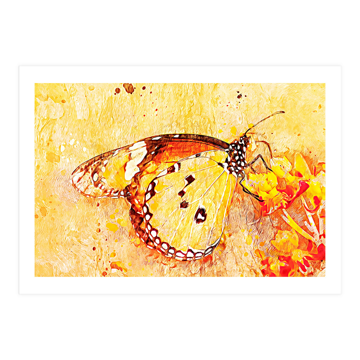 Butterfly On Aclepias (Print Only)