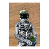 Cacti (Print Only) thumbnail