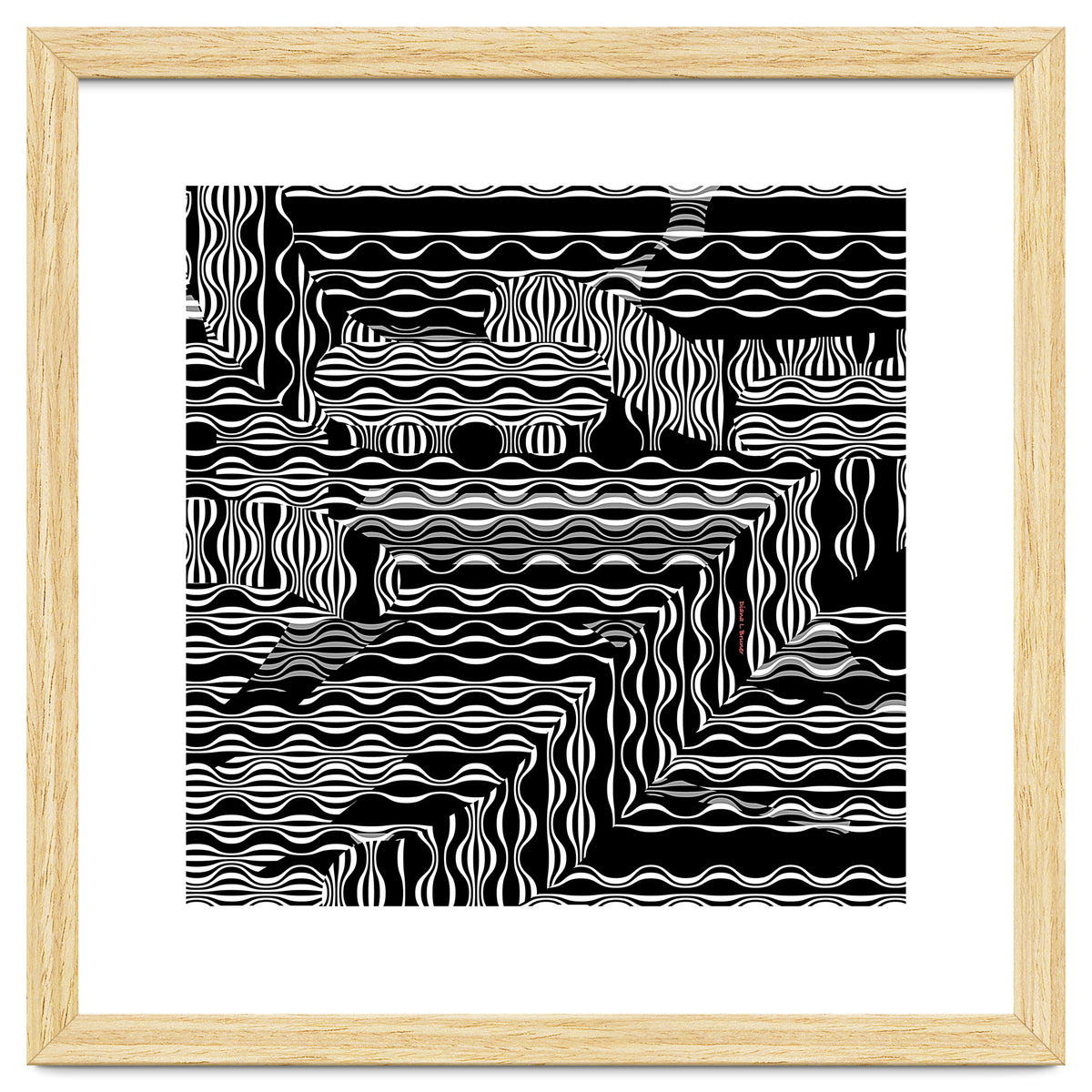 BLACK AND WHITE EXOTIC