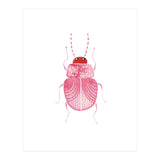 Sarcastic Beetle (Print Only) thumbnail