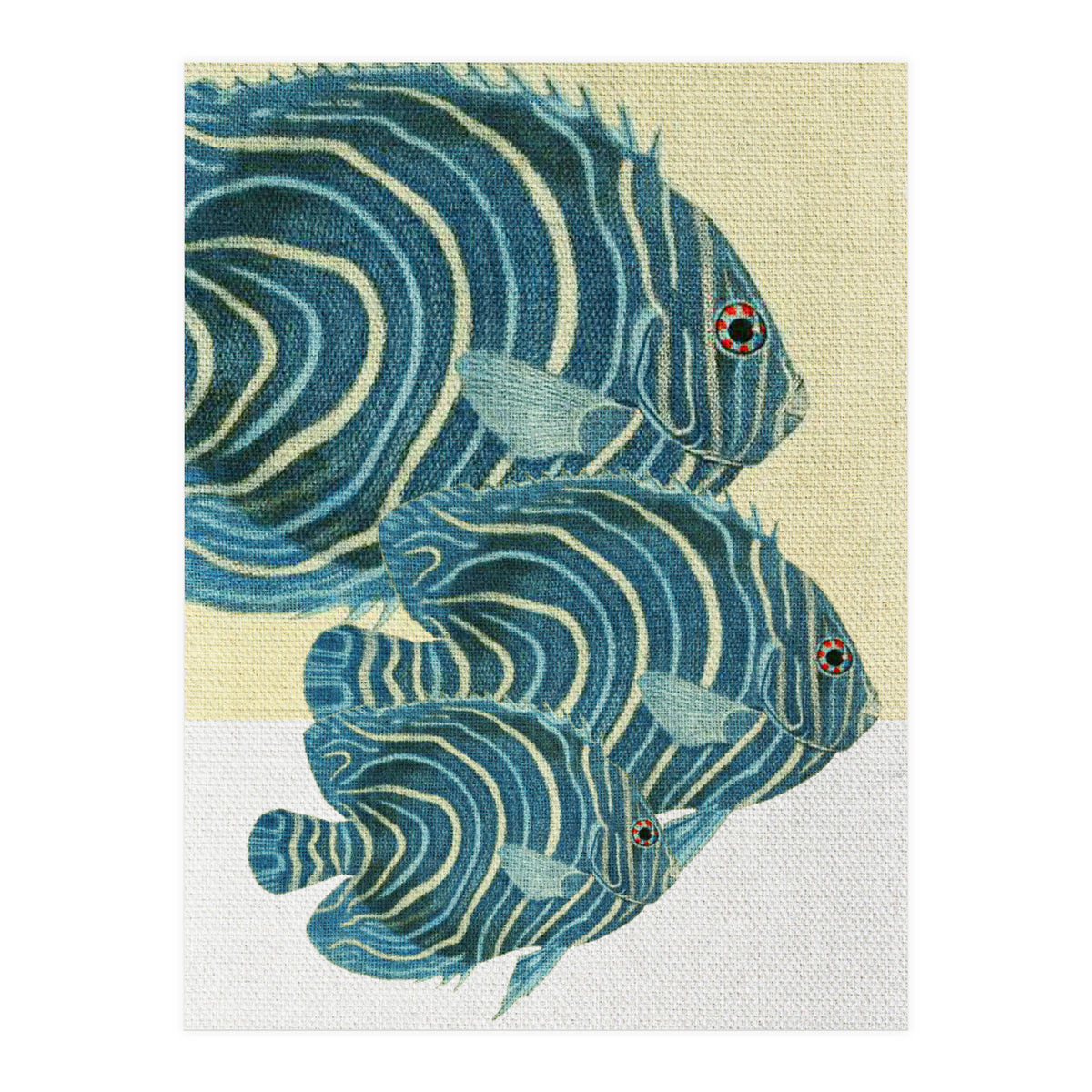 Fish Classic Designs 9 (Print Only)