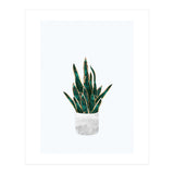 Snake Plant gold and green (Print Only) thumbnail