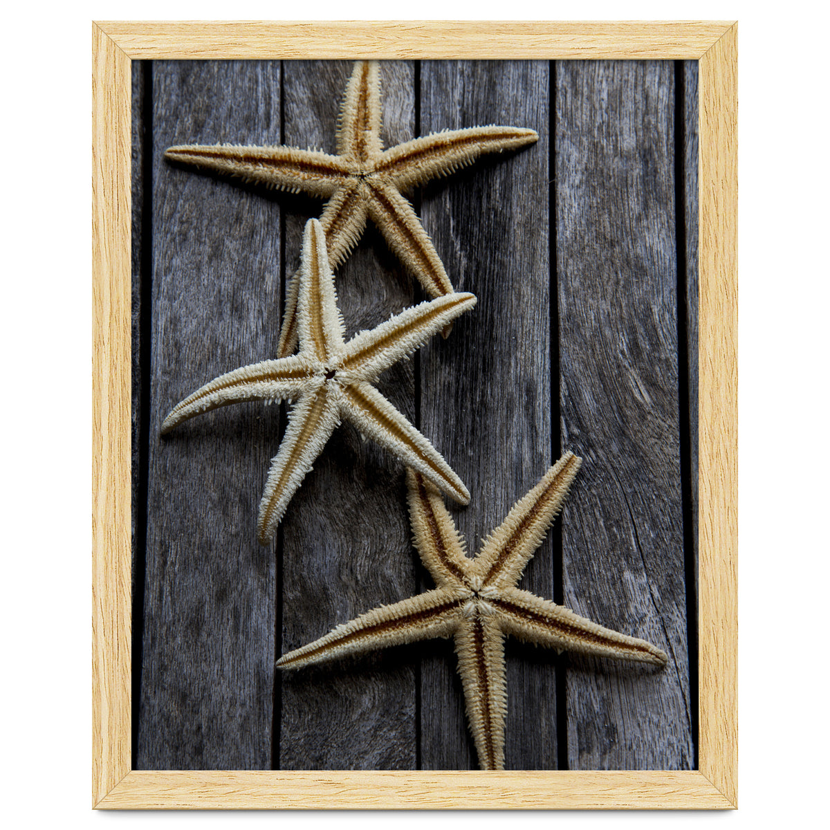 Starfishes in wooden