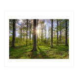 Spring Sun (Print Only) thumbnail