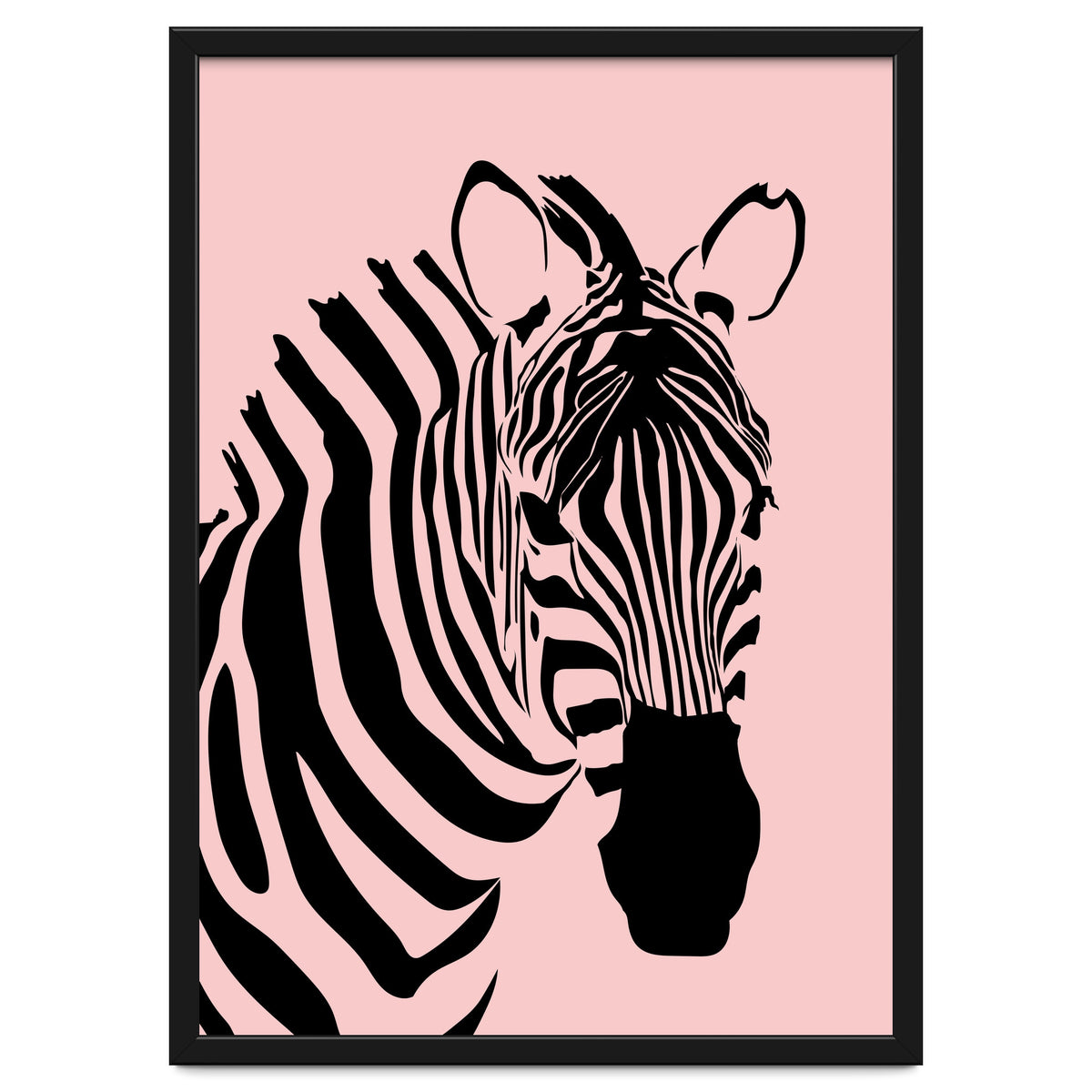 Zebra Stripes