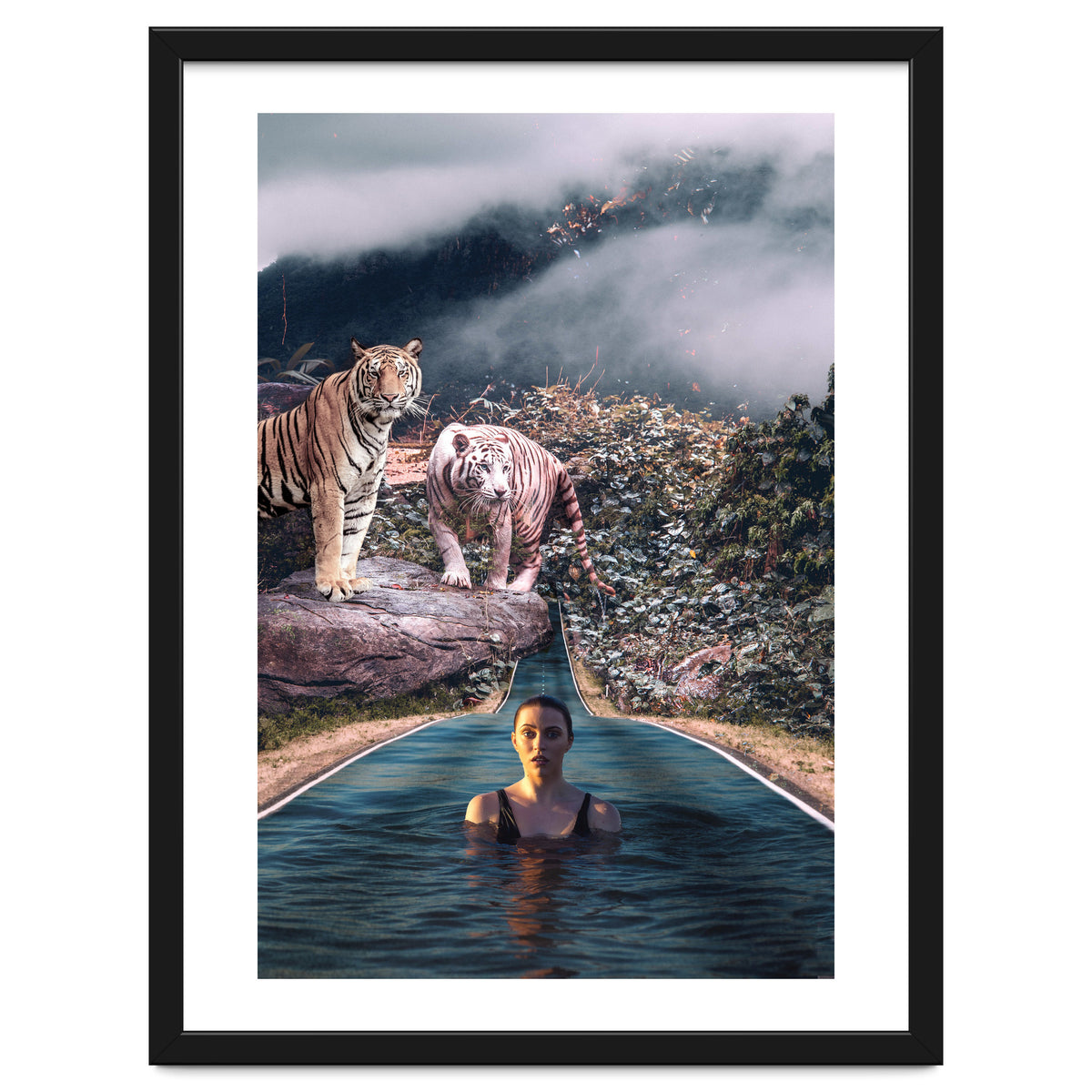 Infinite Pool To Tiger Jungle