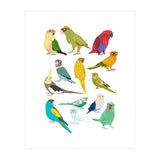 Parrotts in Glasses (Print Only) thumbnail