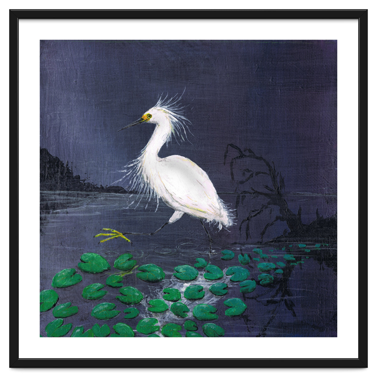 Twilight egret