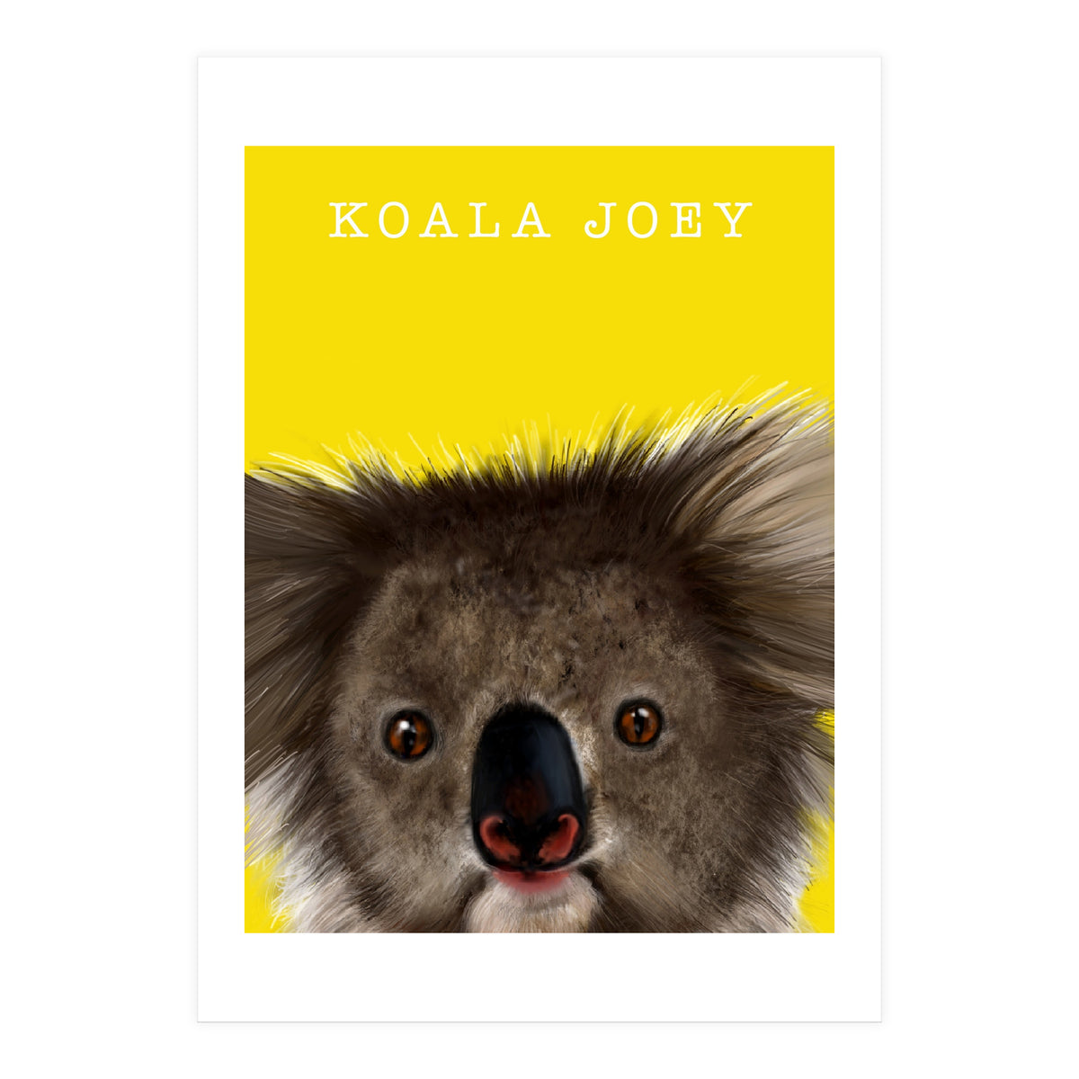 Koala Joey (Print Only)