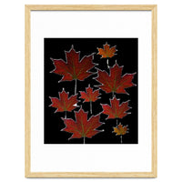 Autumn leaves (2)