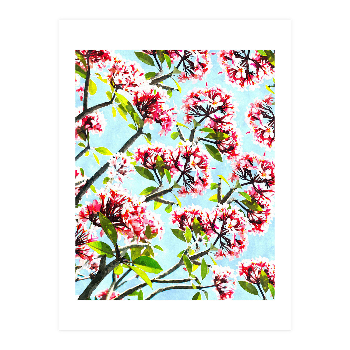 Frangipani (Print Only)
