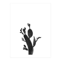 Cactus Black And White 02 (Print Only)