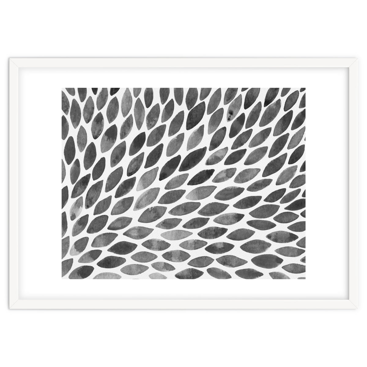 Black and white petal burst