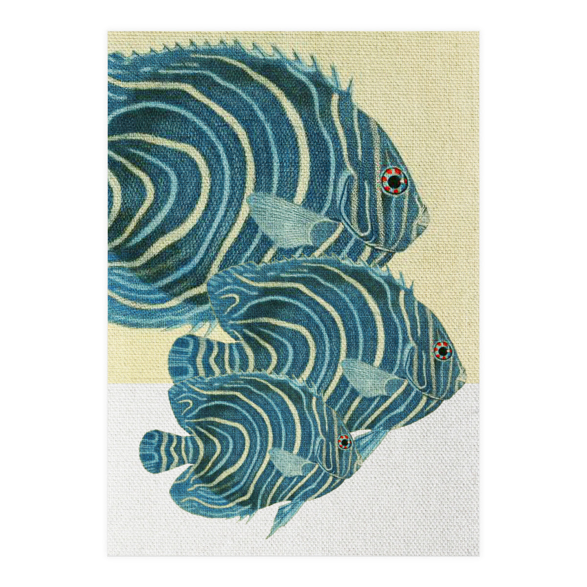 Fish Classic Designs 9 (Print Only)