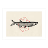 Fish In Geometrics II (Print Only) thumbnail