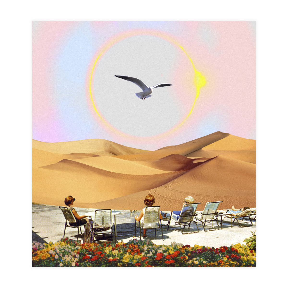 Birdwatching 2.0. (Print Only)