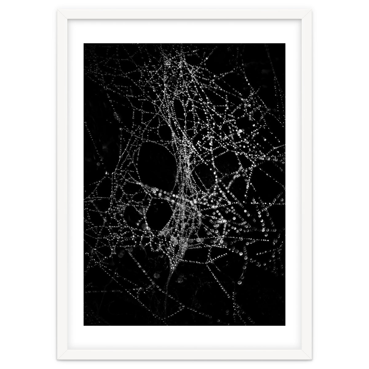 Spiderweb No 4
