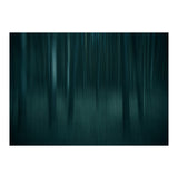 transience  (Print Only) thumbnail
