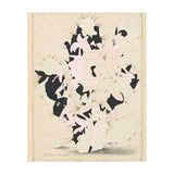 The First Plant · E (Print Only) thumbnail