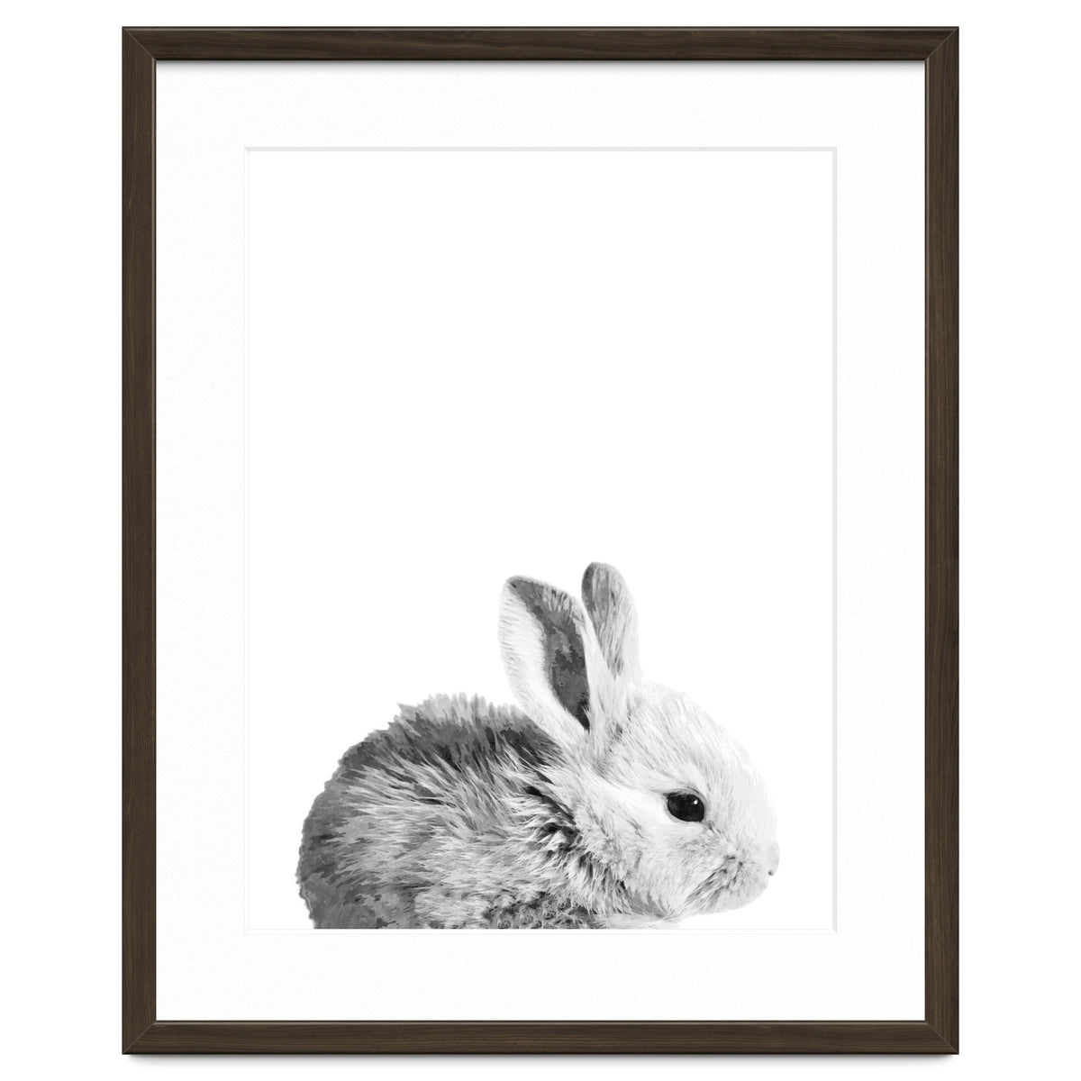 Black and White Bunny Portrait