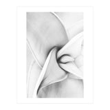Agave plant (Print Only) thumbnail
