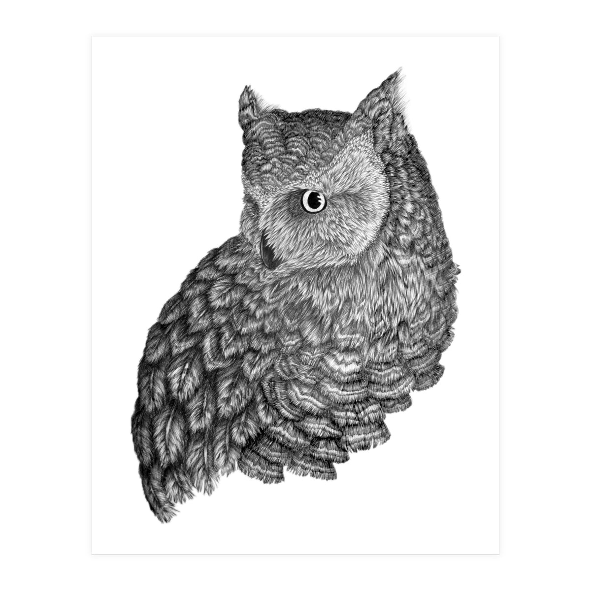 A Friend For Forsythe (Print Only)