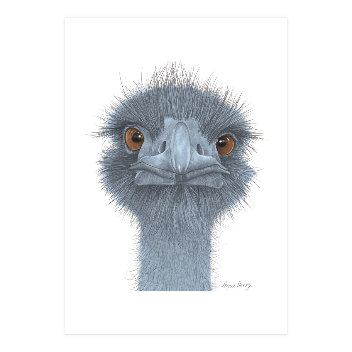 The Blue Emu (Print Only)