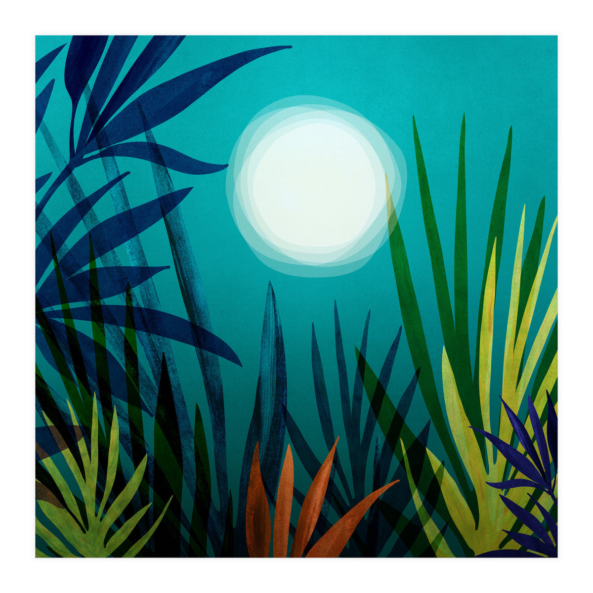 Midnight In The Jungle (Print Only)