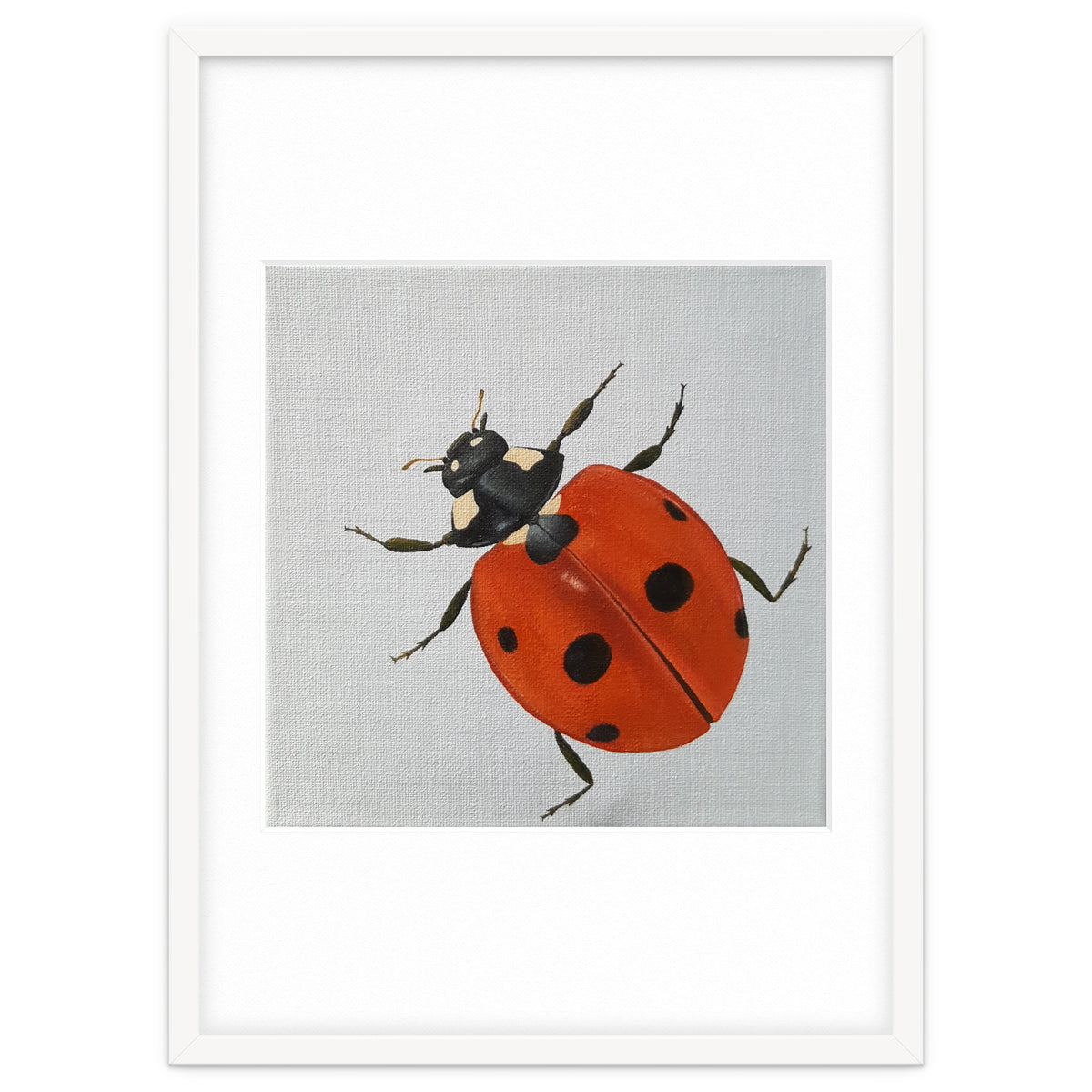 Ladybird