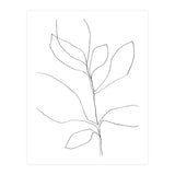 Seven Leaf Plant (Print Only) thumbnail