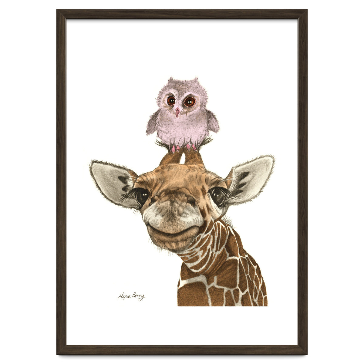Giraffe and Owl