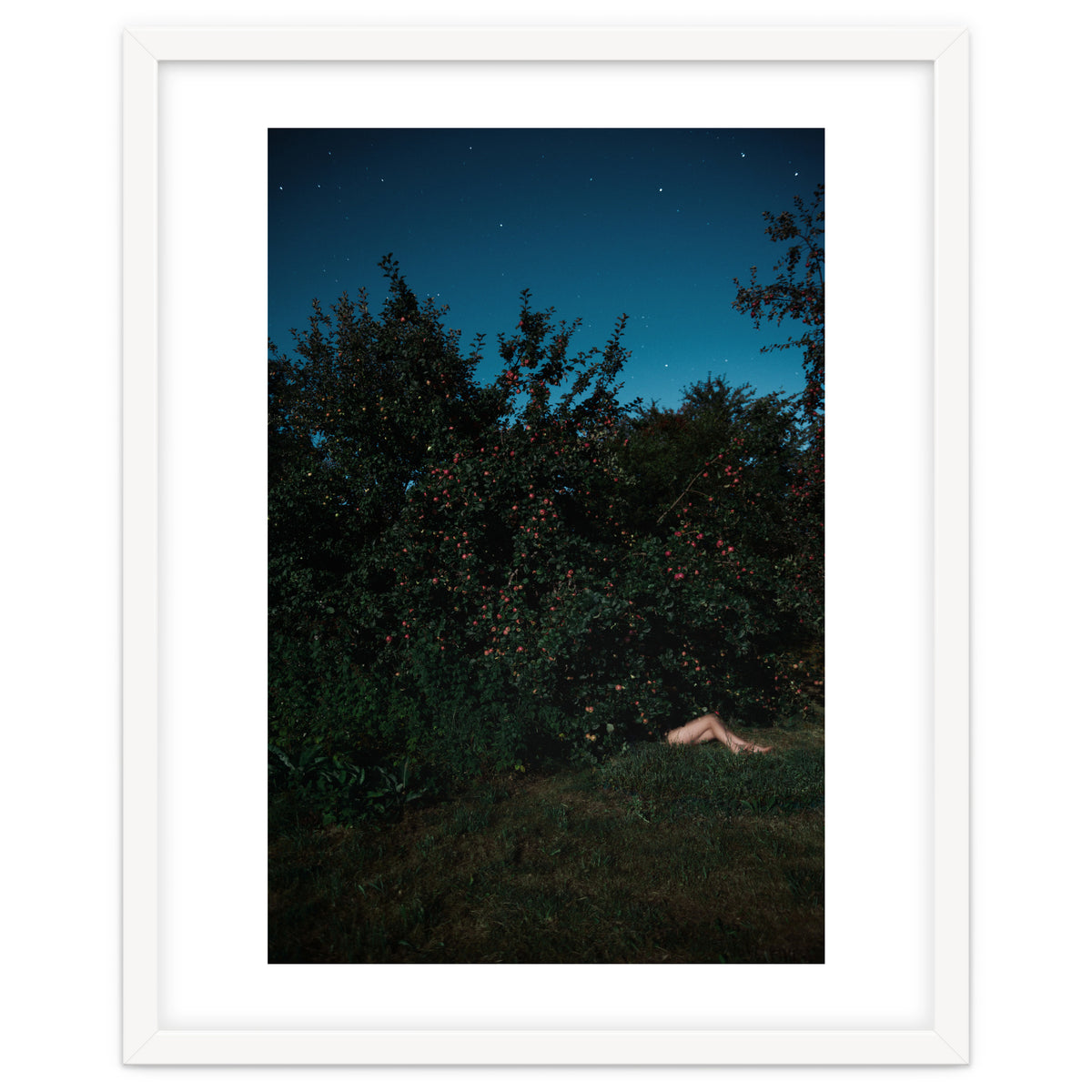 The Cider House Legs