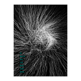 Mad Mind 1 (Print Only) thumbnail