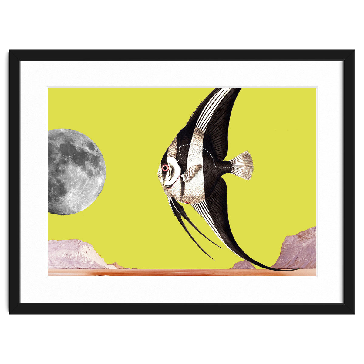 Plenty of fish in the sea yellow