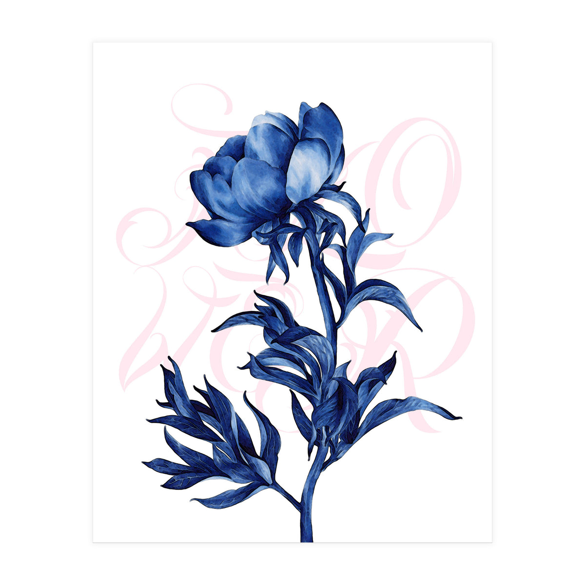rosa blu (Print Only)