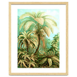 Vintage Tropical | Jungle Botanical Nature Banana Tree | Bohemian Plants Trees Forest thumbnail